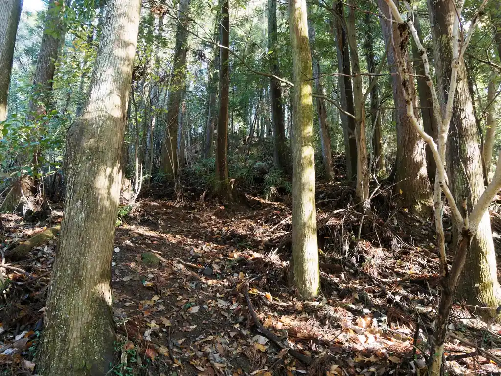 写真ではわかりづらいかもしれないが、踏み跡ははっきりとしている。若干斜度の大きい坂だが、ここはまだ登りやすいほうだ。