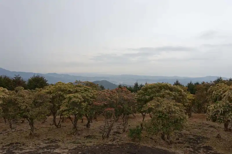 背伸びしてカメラを持ち上げて写真を取るとかろうじて町並みと相模湾が見えます。
