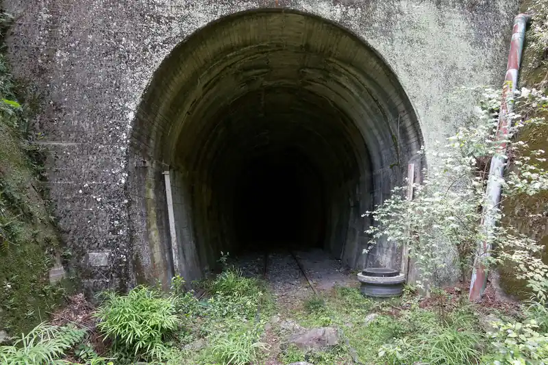 線路に降りるとトンネル。
恐らく第四氷川トンネルだろう。
そこそこ距離のあるトンネルらしく、途中で曲がっているようで真っ暗闇だ。
歩いて反対側に抜けれるようだが、一人で歩くには怖すぎるので入口を眺めるだけ。