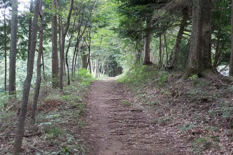 脇に幅広の道があるので、歩いていきます。