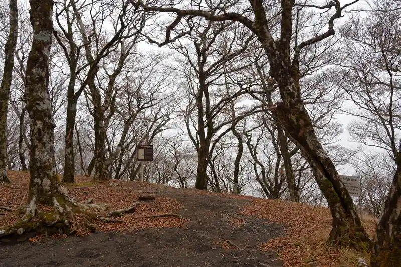 山頂の雰囲気その1です。