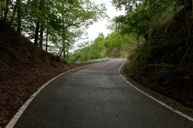 舗装路に出てからしばらくそのまま歩いていきます。
