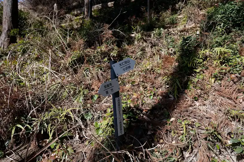 大仁田山方面から下ってきました。