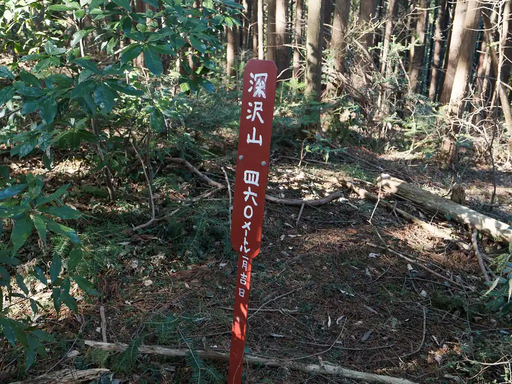 指導標のところに深沢山の山頂標。といってもピークになっていることにすら気づかなかった。本当にここが山頂なんだろうか？