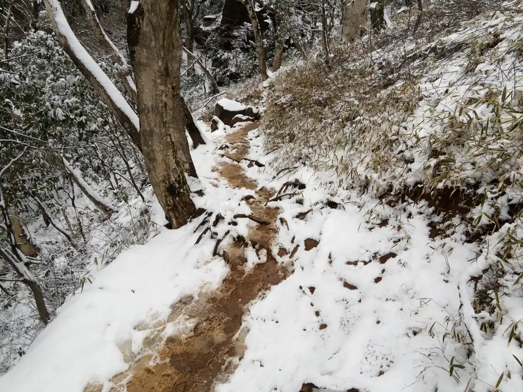 ある程度登り終えると道が水平になり、雪が多く積もっている。途中緊張するところもあったが、流石に今から再びチェーンスパイクをつけるのは面倒だったので、そのまま弁慶ヒュッテを目指す。