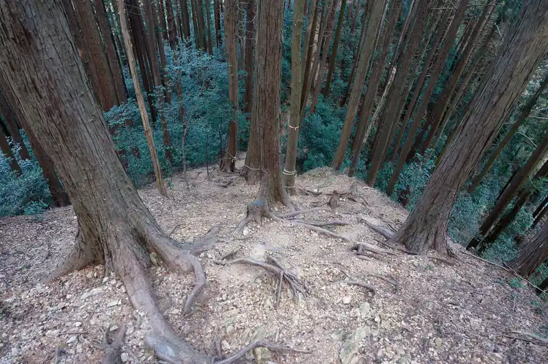 ようやく鞍部が見えてきて急降下終わり。