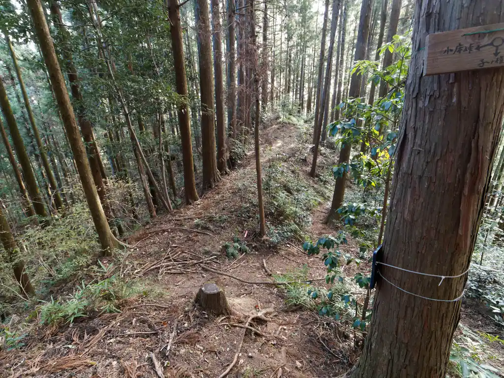 ここは左側からぐるっと回りこんでくるのだが、下りだと真っすぐや右側の踏み跡に入っちゃいそうだよなあ、と思いながら見ていた。