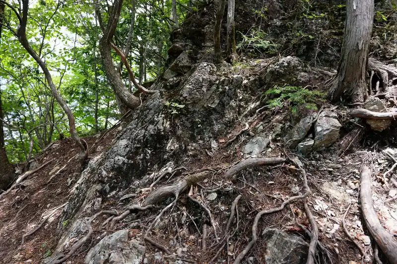 上の写真の左側は確かこんな感じ。
