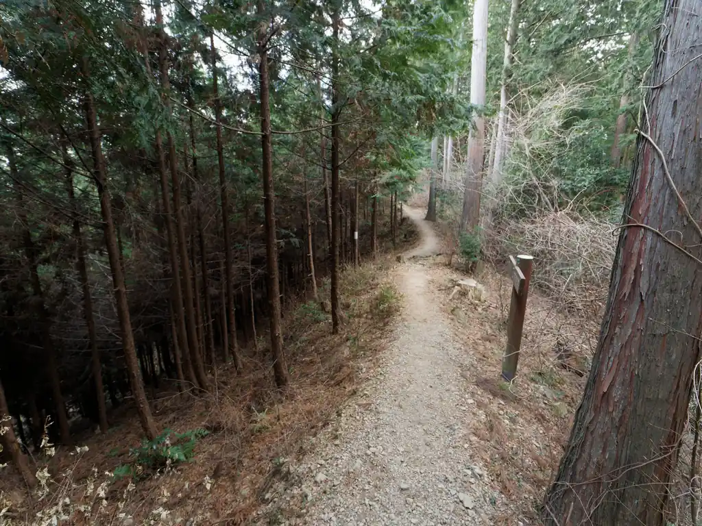 このあたりになってくると昔は見晴らしがよかった、みたいな写真が掲示された小ピークがあったような気がするんだが…と思っていたら…
