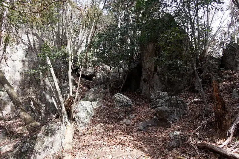 そこそこの巨石。