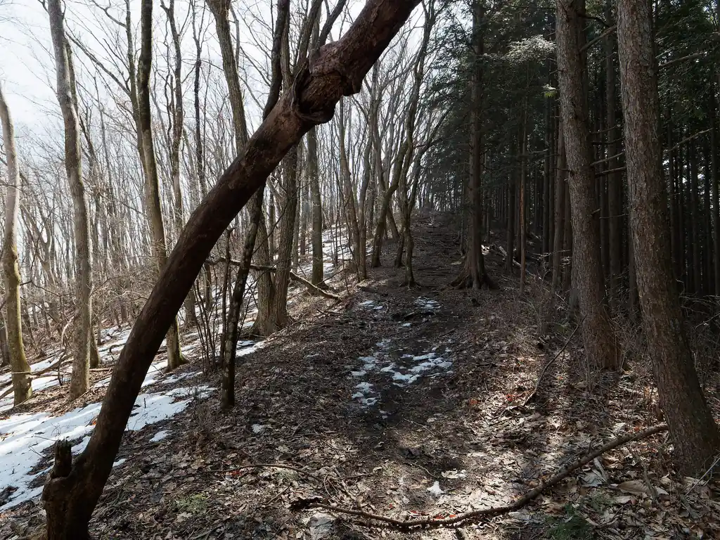 登山道上に雪はなく、チェーンスパイクを念の為持ってきたが見事に不要だった。良いことだ…。