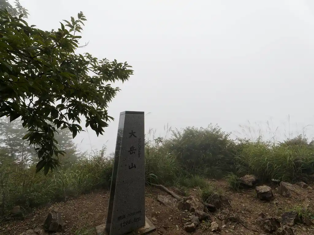 大岳山山頂。真っ白で何も見えない…。晴れていればこの先に富士山が見えるはずなんだが。

流石に山頂にはぼちぼち人がいる。10人ってところか。以前登った時は座るところもないほど人がいたけど、今日はかなり空いている。