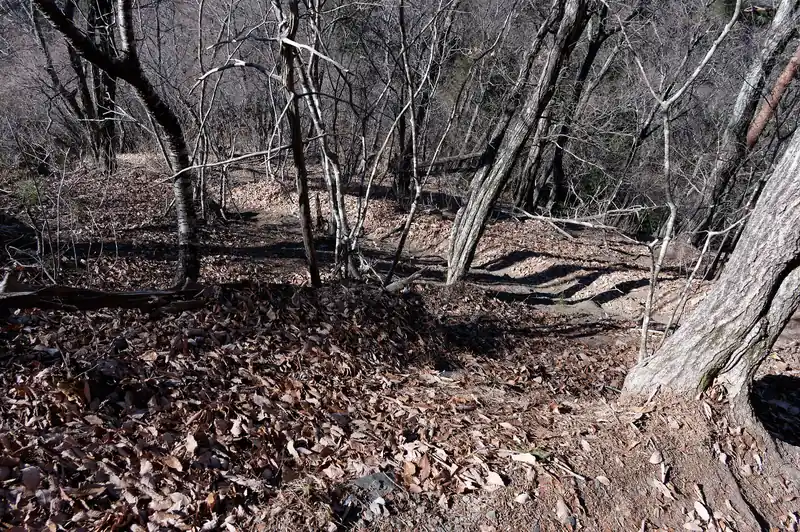 少し登って下の方を撮ってみました。伝わるでしょうか。
他にも写真に収めておきたい感じはしたんですが、登るので精一杯で写真を撮る余裕はありませんでした。