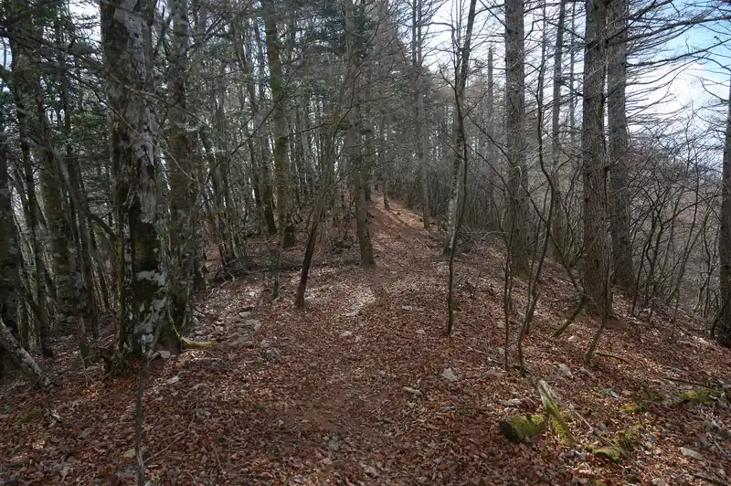 なだらかな道を歩いていきます。
ここから長池山までの区間、細かいアップダウンが多く、非常に疲れる…。