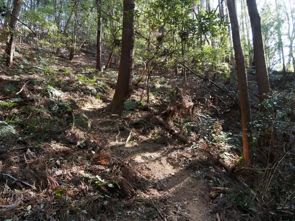 で、驚いたのですが、なんと私の前に3人も登山者がいる。去年歩いたときは誰もいなくて結構心細かったのだが…。

でもみんなのんびり歩いています。きっと疲れているのでしょう。正直私も左足が釣りそうだった。