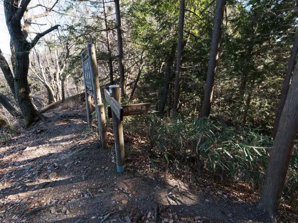 小下沢林道への分岐。
確かここが関場峠だったかな。