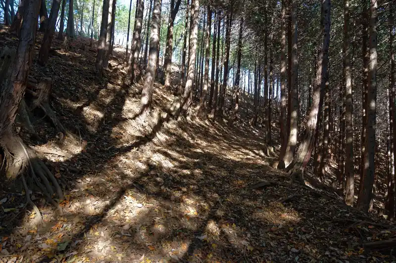 尾根が近づくにつれて寒くなります。
今日は本当に風が強い。