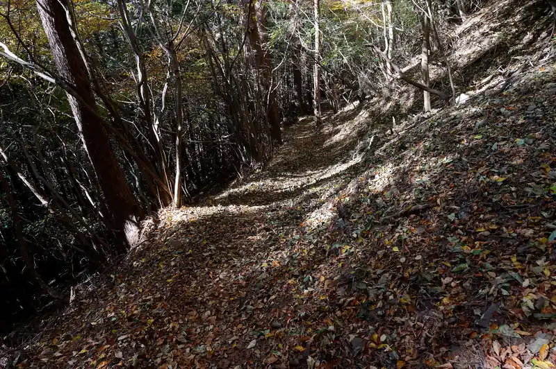 この杉山新道はかなり歩きやすい道です。
九十九折になっているし、正直退屈になってしまうくらい歩きやすい。