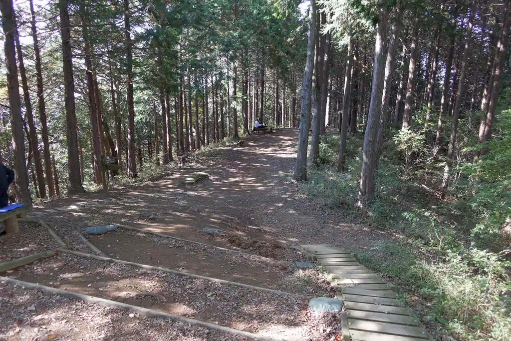 写真奥の登山道から歩いてきた。空いているベンチがほとんどなかったのだが、ほかの登山者の横に場所を確保して、ようやく腰を下ろして軽く昼食を食べる。
今日はいよいよ涼しくなってきたので、パンだけでなくコンビニおにぎりも持ってきた。やっぱり米を食わなきゃやってられんですわな！

昼食を食べている間も、数人の登山者が到着する。
今日はどうやらシニアのグループ登山者が山頂を陣取っているらしく、ベンチがなかなかあかない。