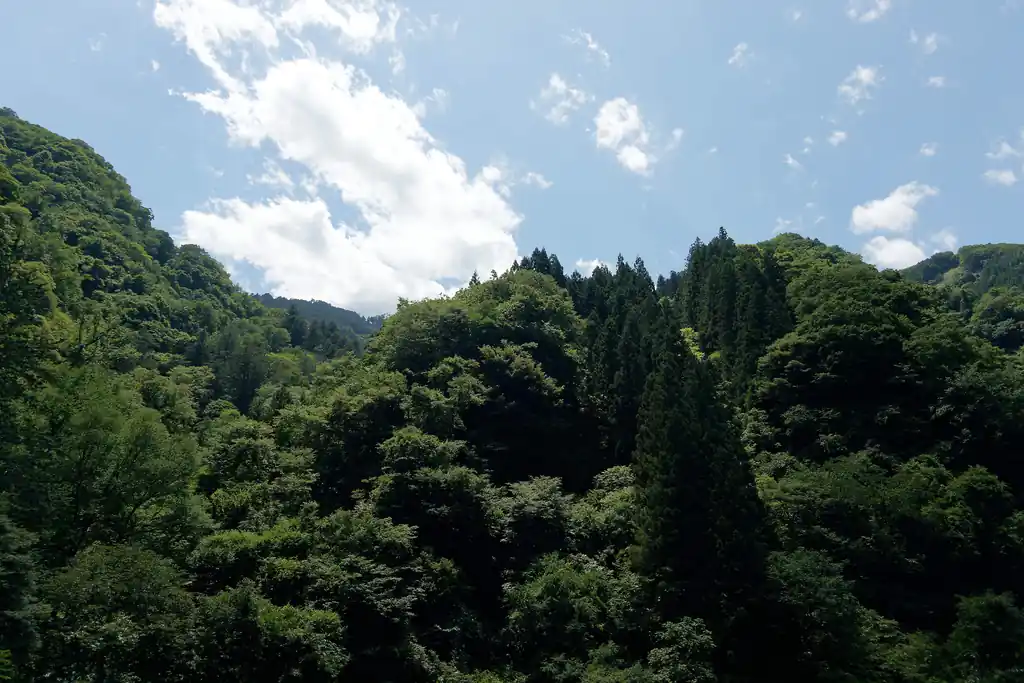 ようやく麓まで降りてきて三峯ロープウェイ跡地から三峯神社方面を見上げる。