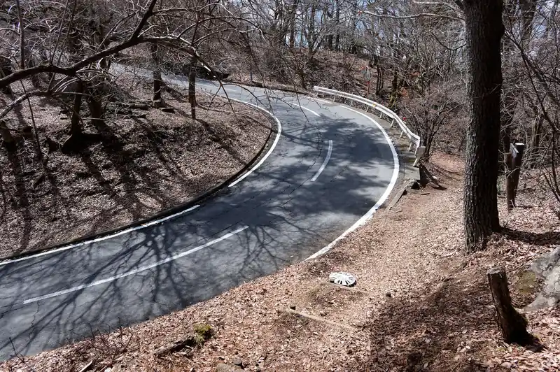 そのまま歩いていくと舗装路に出る。