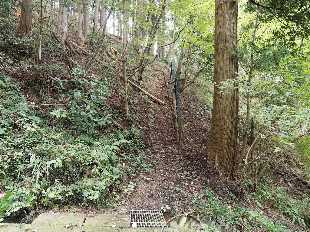 行って見るとすぐにわかった。これが鹿柵か！確かに通れそうな気がする。思ったよりも傾斜もなんとかなりそうかな。恐らく一般登山道ではない、というだけで、歩く分には難所はないはず。