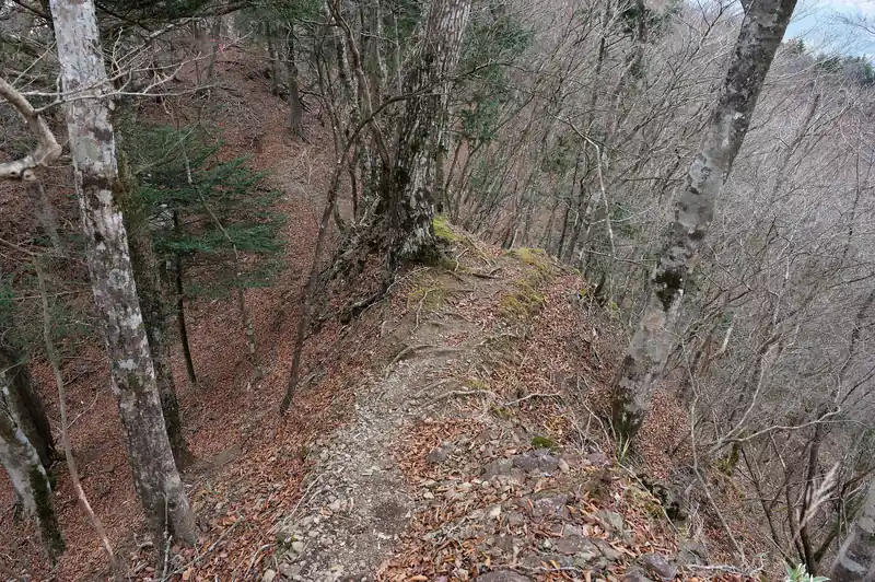 痩せ尾根きました。まあこのくらいならワタシ的には問題ないです。
距離も短いし。