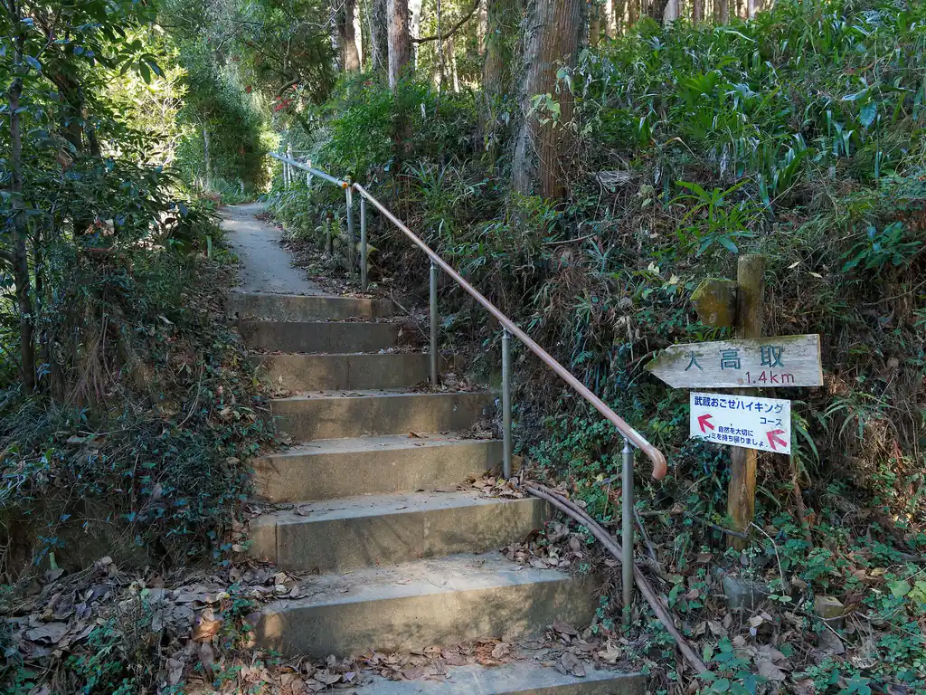 ここから大高取山に登る。