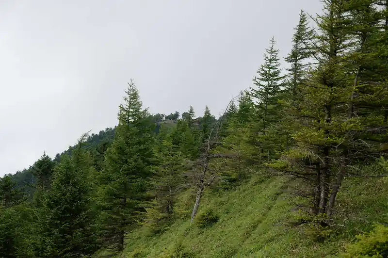 雲取山山頂が見えてきました。山頂にある避難小屋が目印。