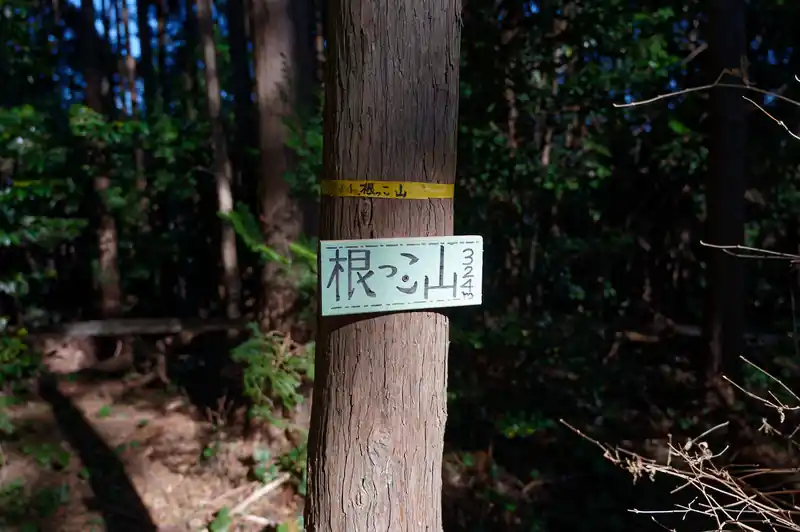 大高取山から少し戻って、白石様を経由して西山高取へ向かうことにする。
西山高取も眺めがよく、そこから歩いて行ける世界無名戦士之墓も眺めが良い。

途中、山頂感のない根っこ山を通り過ぎて…