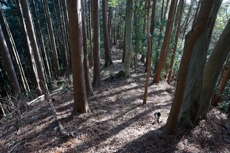 安楽寺方面へ。
