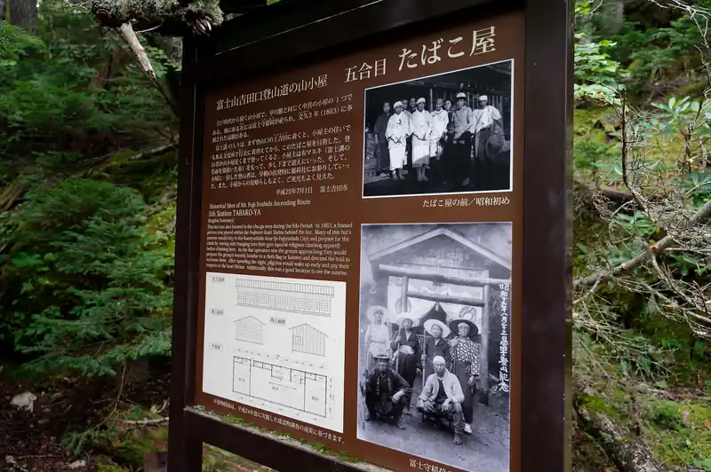 たばこ屋。こちらは崩落した建物も残っておらず、平坦地があるだけ。