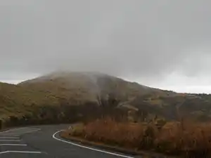伊豆・達磨山