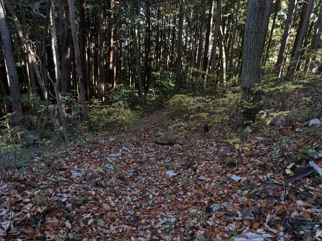  ここから鼻曲山までは落ち葉の積もった非常に歩きやすい道を歩く。 