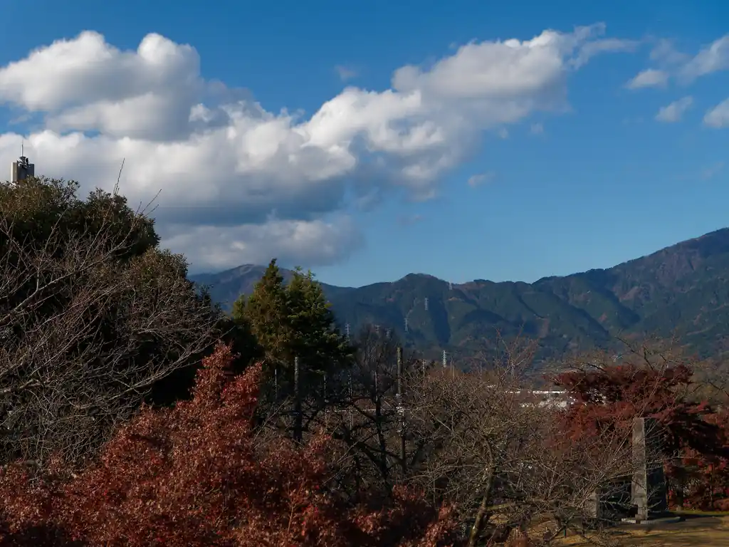 微妙に木に隠れて塔ノ岳ははっきり見えない。