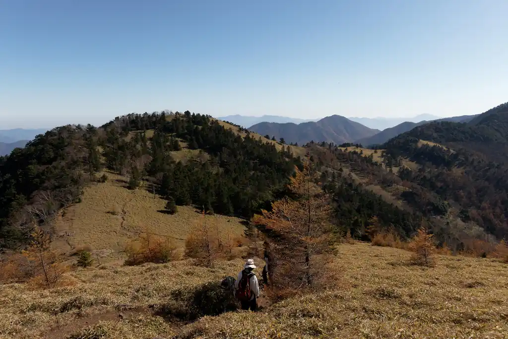 熊沢山を越えると、石丸峠が見えてきた。
ここは笹に覆われた山肌を歩く道。こちらも雰囲気がとても良い。

そのうち、この稜線を歩いて滝子山まで歩いてみたいものだ。