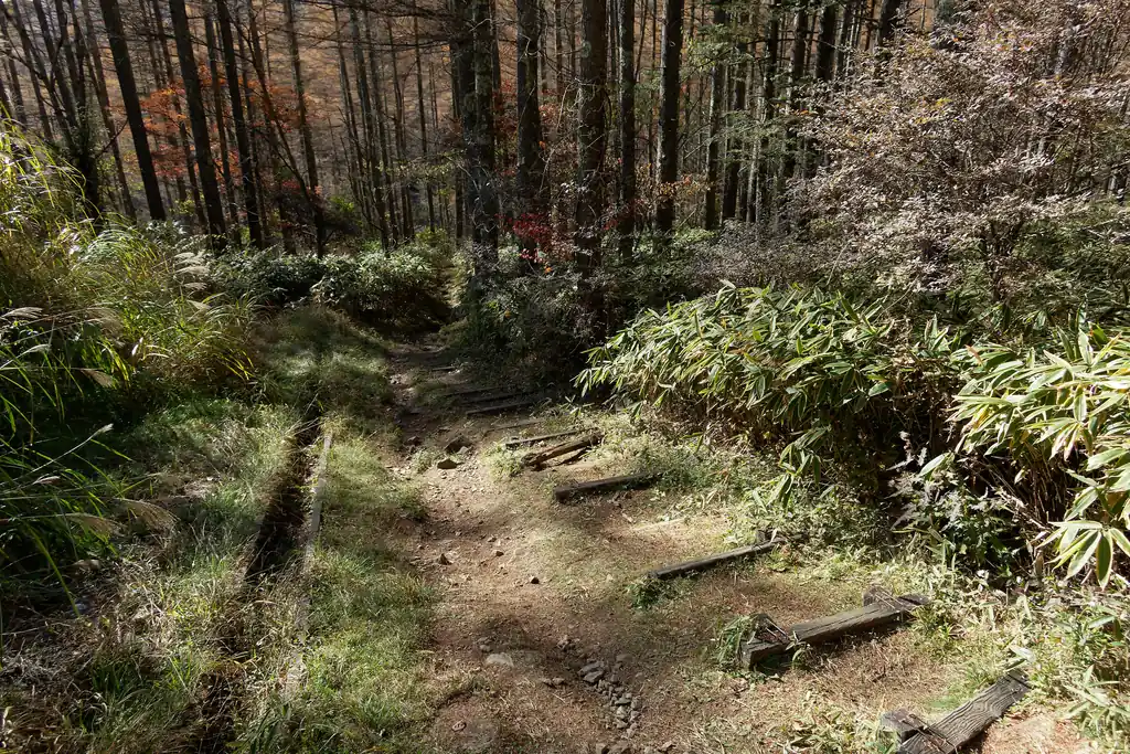 小屋平バス停に到着。ここから再び写真の方向へ登山道を歩いて上日川峠に向かう。