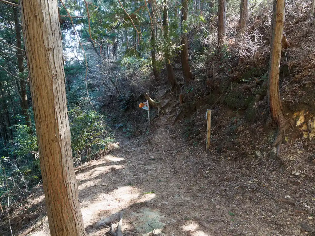 後は道なりに進む。
色々と脇道があるのだが、大抵道標が立てられているのでその通りに進めばなんとかなる。
このルートは険しいところもなく、人もそこそこいるし、道標も多いので極めて歩きやすいルート。
