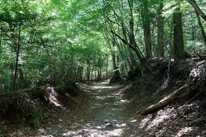 山頂までは終始こんな感じの道。山頂には今も二軒の山小屋が営業中。
このルートは恐らく、その山小屋の荷揚げにも使われるルートなんじゃないかな、と思っていたんですが、予想通りといった感じ。
恐らくここをジープとかで登って荷揚げしているものと思われます。そのため、全体を通して道幅は広く、斜度も穏やか。極めて歩きやすい道です。