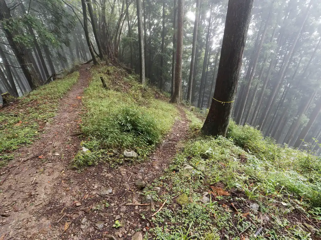 右が白倉に向かう道。
左が歩いてきた道。
大岳山までだいぶ近くまで来ました。