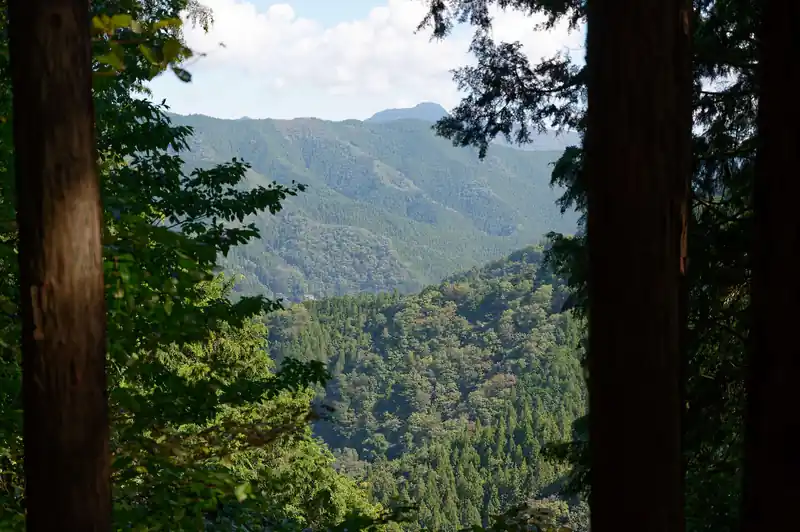 樹間から、奥に大岳山が見える。今日は久しぶりに天気が良くて気持ちがいい。
夏はずっと雨だったんだよな、ほんと。