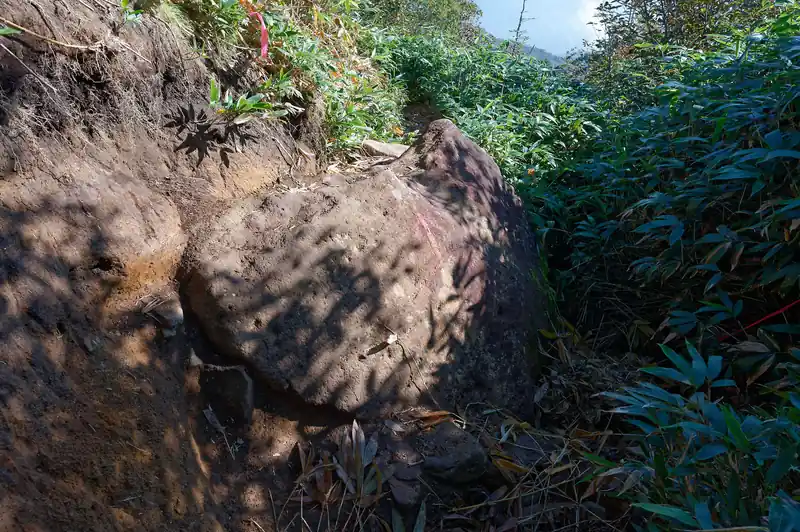 途中大きめの岩を超えながら進む。
ところどころ、進んで行けそうな熊笹の生えていない箇所があるのだが、どうやらただの崩落箇所なのか、ロープで立ち位置禁止とされていた。
登りで歩く分には迷い込むことはないと思うが、下りで歩くときは要注意。