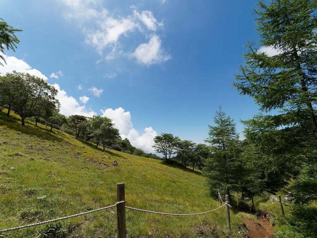 既に計画から遅れ始めているので、休憩もほどほどに大菩薩嶺山頂に向かいます。