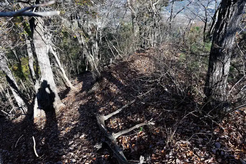 というわけで、先程の三叉路から登って尾根に出ました。写真左側に私の影がありますが、その木の右側から登ってきた形です。