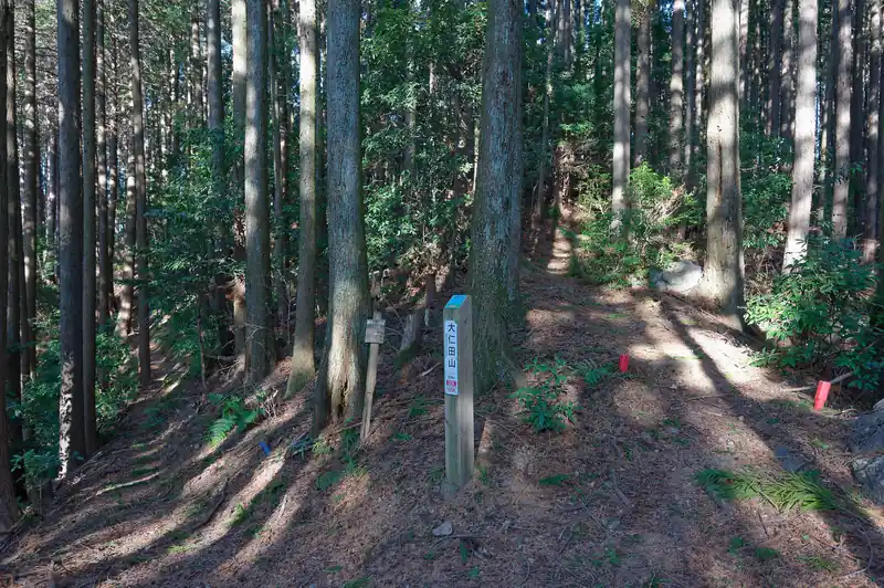 写真右側から降りてきて、写真左側の道へ。