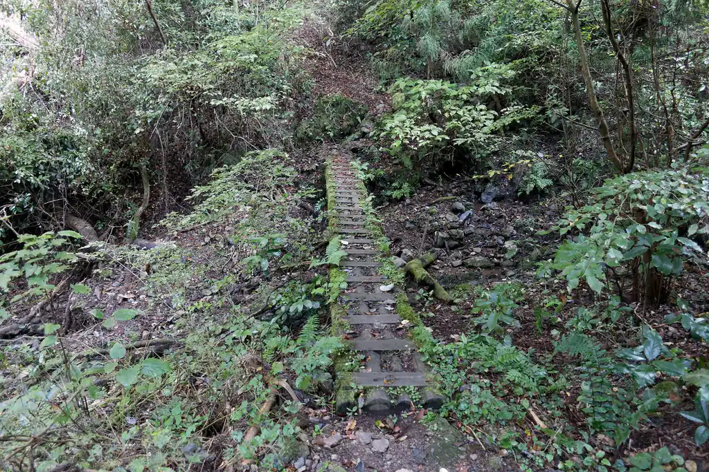 しかし登りで使った登山道に比べると、こちらはなんだか荒れているような気もする。
道も狭いし、陽の光があまり当たらないからか、陰鬱な印象のある登山道だった。