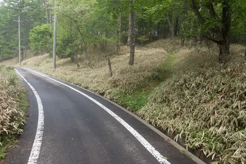 ここから再び山道へ突入。