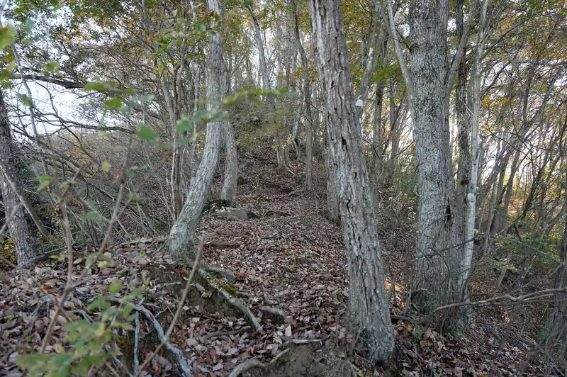 なかなかの急登ですが、距離は短い。気合で登ります。