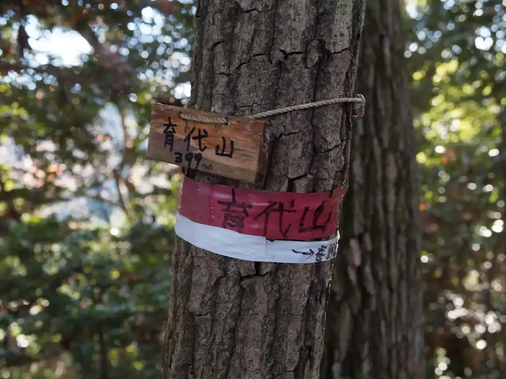 育代山頂。まあ山頂は何もないので、素通りする。