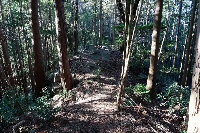 振り返って育代岩。
登り方向だと2mは超える高さがあったが、下り方向だと高さを感じない。